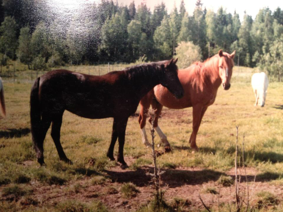 Dolly & Illerim
Foto Ingela Toth