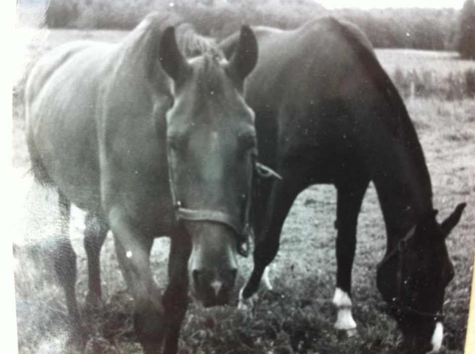 Lex & Cicero Foto Lillemor Back
