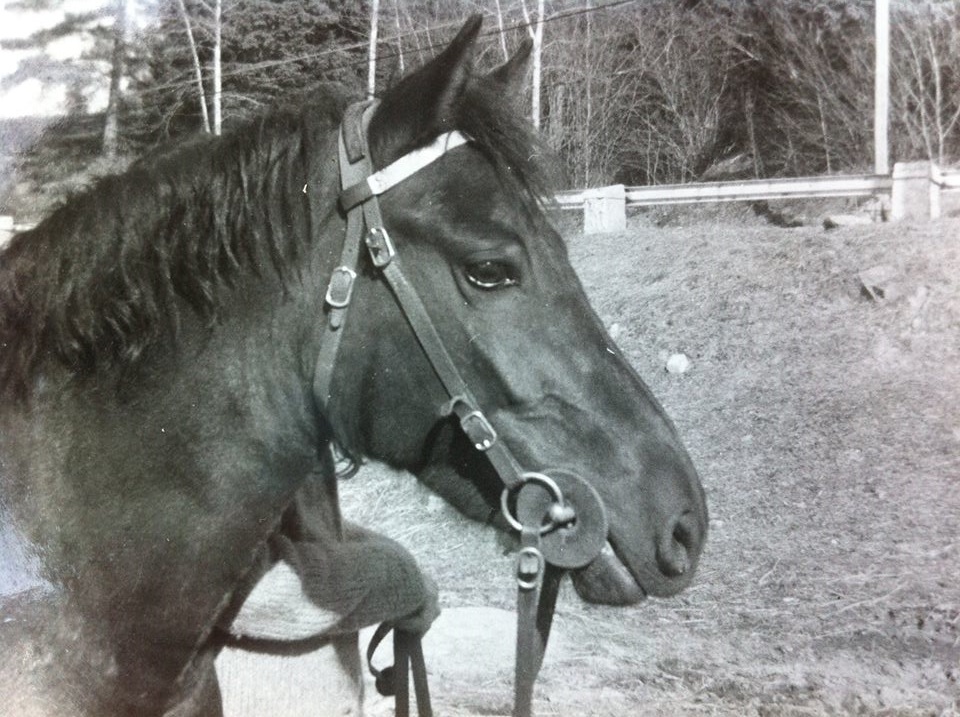 Foto Lillemor Back