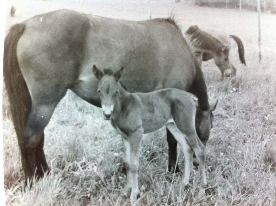 Mia-Pia & mamma Mittiprick Foto Lillemor Back